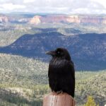 Bryce Canyon National Park #5