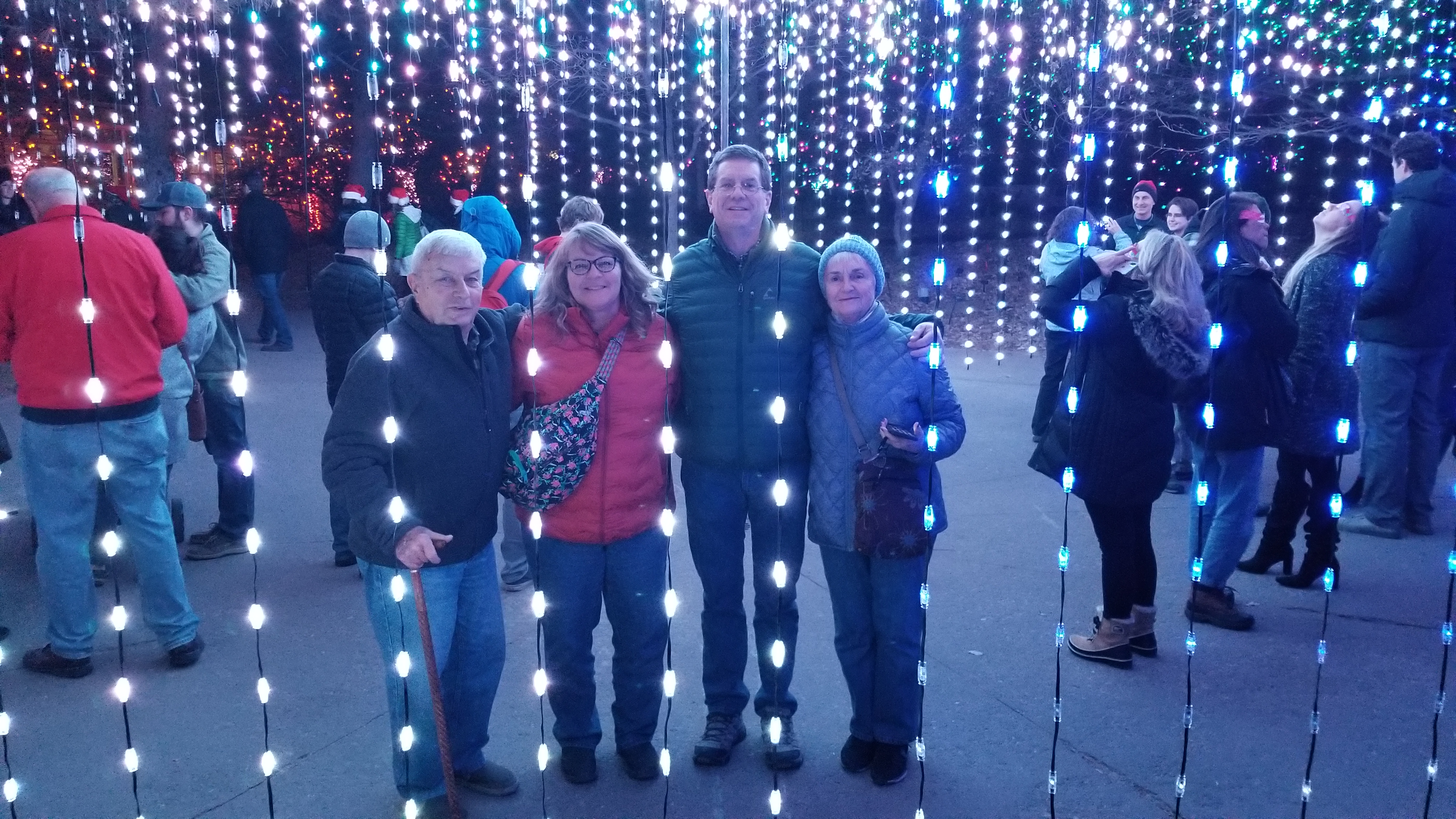 Christmas lights at Denver Botanic Gardens