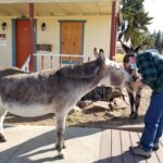 Cripple Creek CO - making friends #2