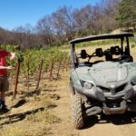 Mayacamas vineyard tour - Paull in his element