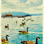 Paull's photo art #14
