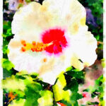 Paull's photo art #21