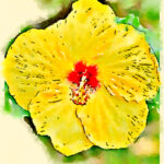 Paull's photo art #24