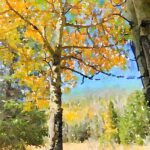 Paull's photo art #26