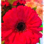 Paull's photo art #5