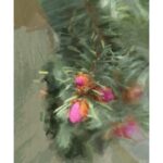 Paull's photo art #6