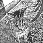 Paull's photo art #7