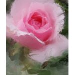 Paull's photo art #9