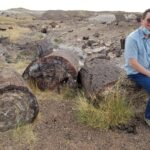 Petrified Forest NP